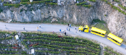 Ruta do petroglifos