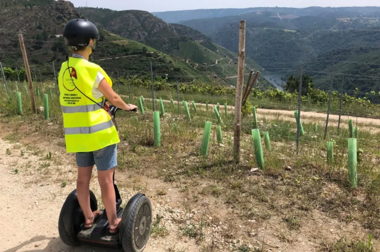 entorno_segway_11zon