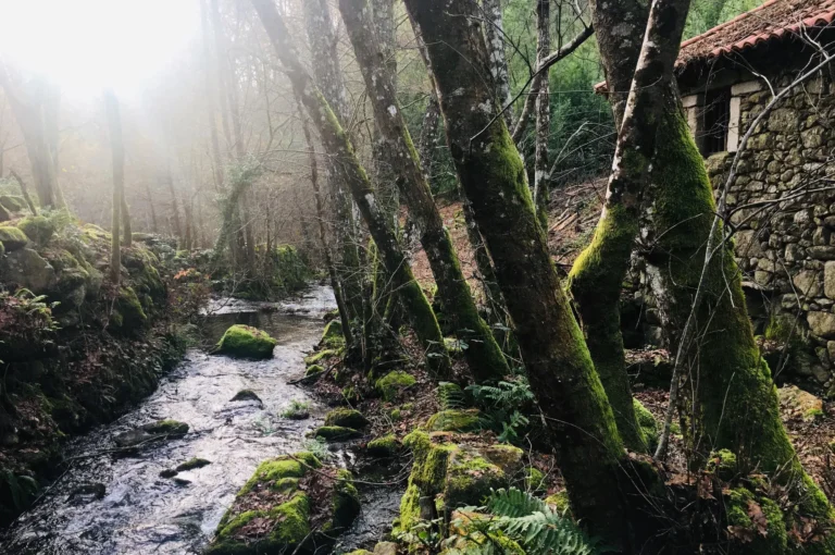 entorno_senderismo_11zon