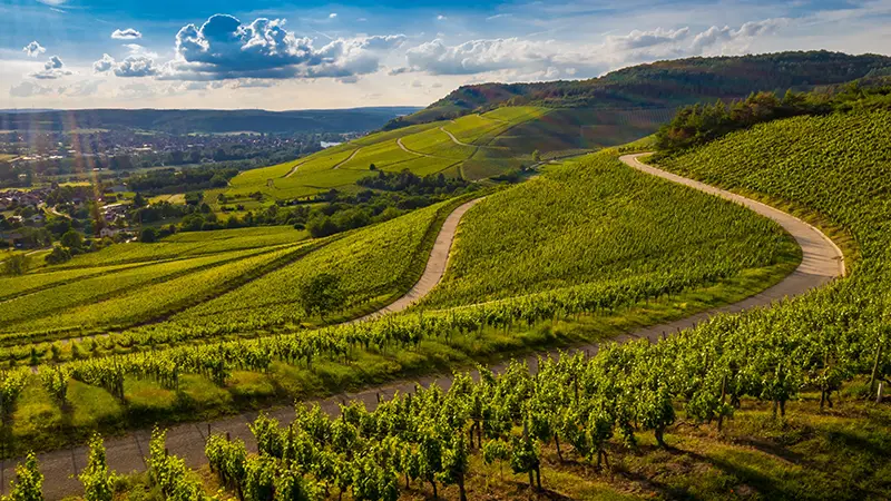 Ribeira Sacra en 3 días