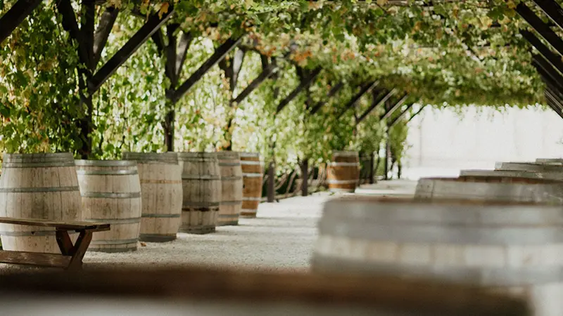 qué ver en la Ribeira Sacra